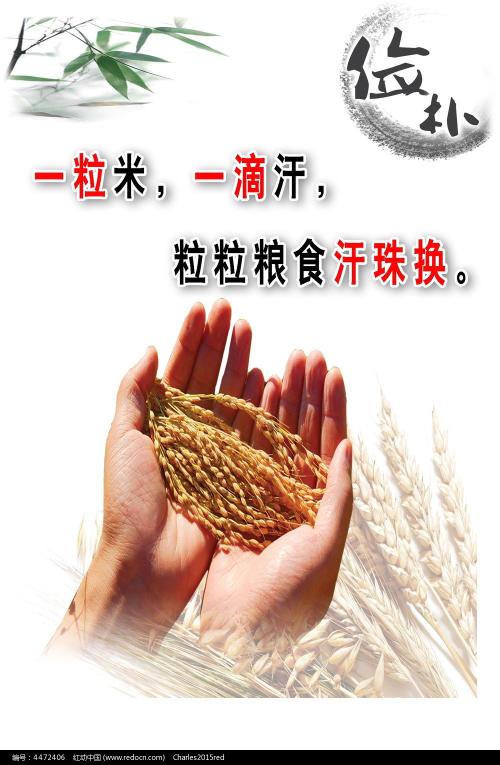施工升降机证模板/图片
